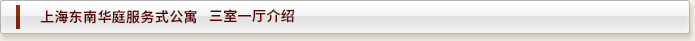 上海东南华庭服务式公寓  三室一厅介绍