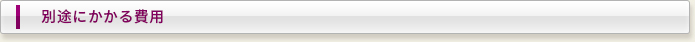 別途にかかる費用