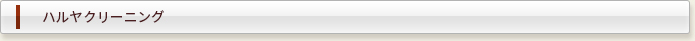 ハルヤクリーニング