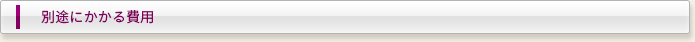 別途にかかる費用
